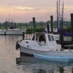 About Mount Pleasant: photo of shrimp boats in Mount Pleasant, South Carolina