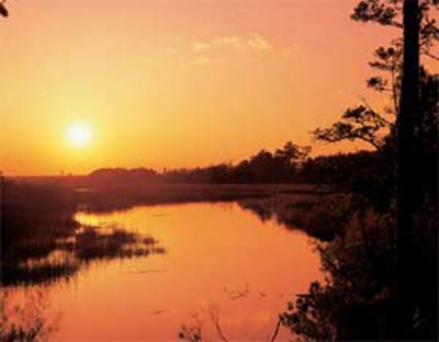 Park West in Mount Pleasant, SC